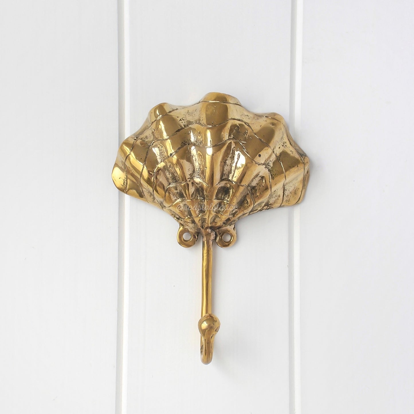 Clam Shell Brass Gold Hook