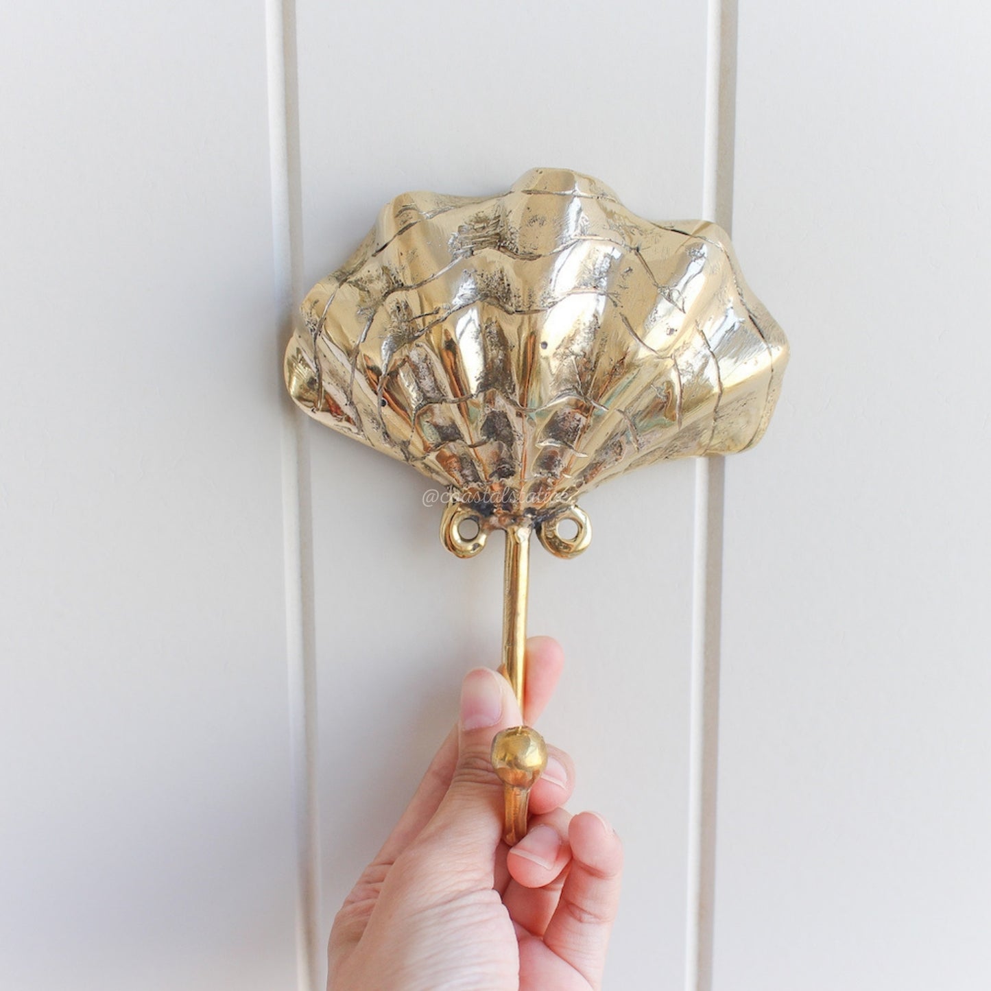 Clam Shell Brass Gold Hook