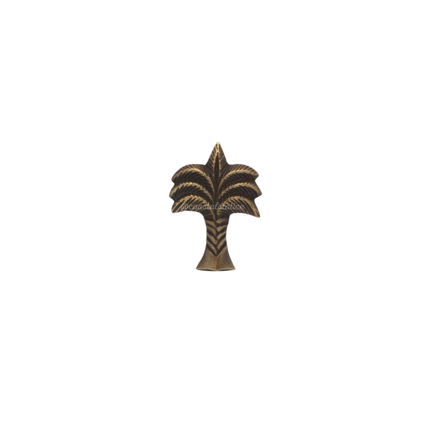 Palm Tree Brass Knob (small)