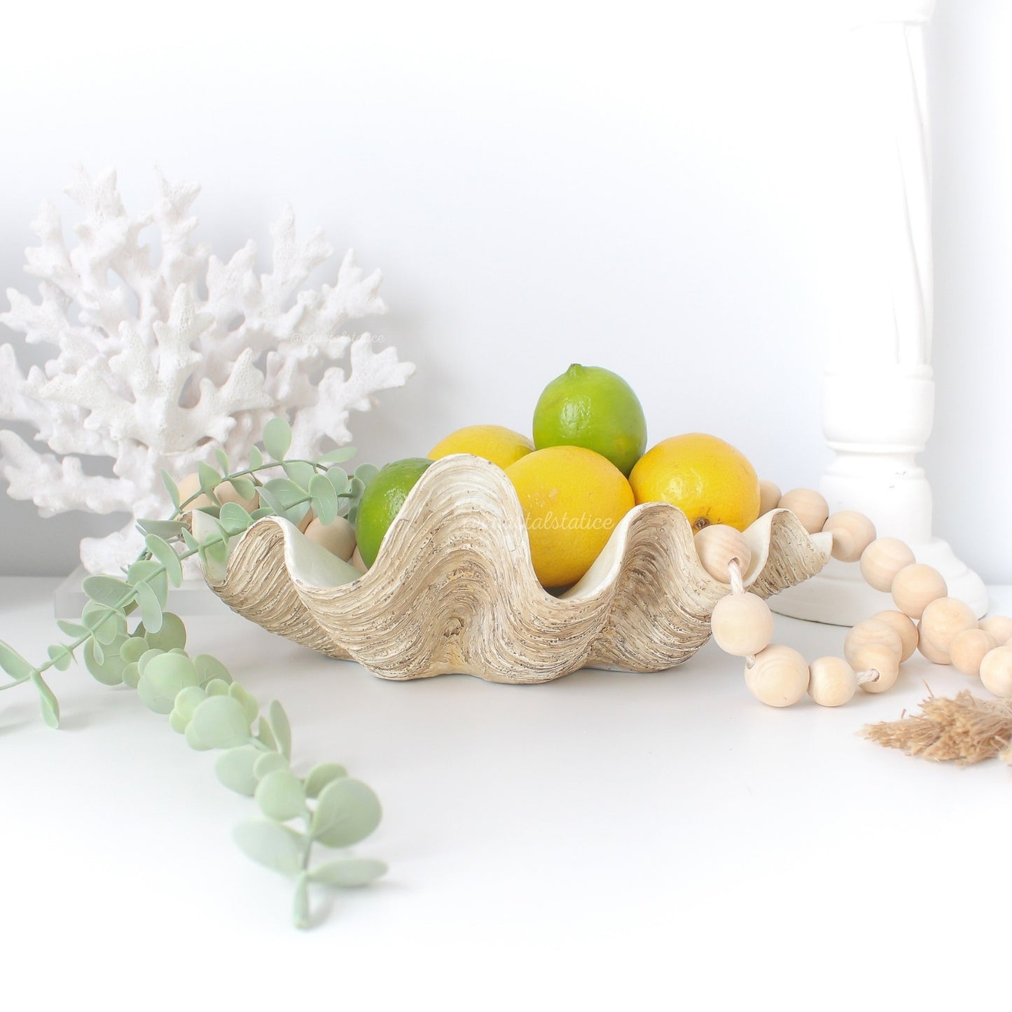 Coastal Clam Shell Bowl