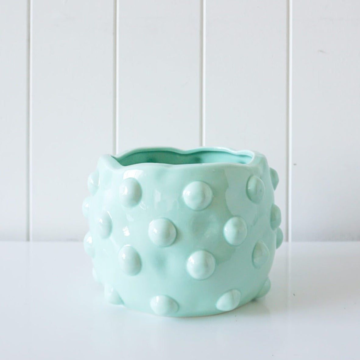 Bubble Dot Planter Pot
