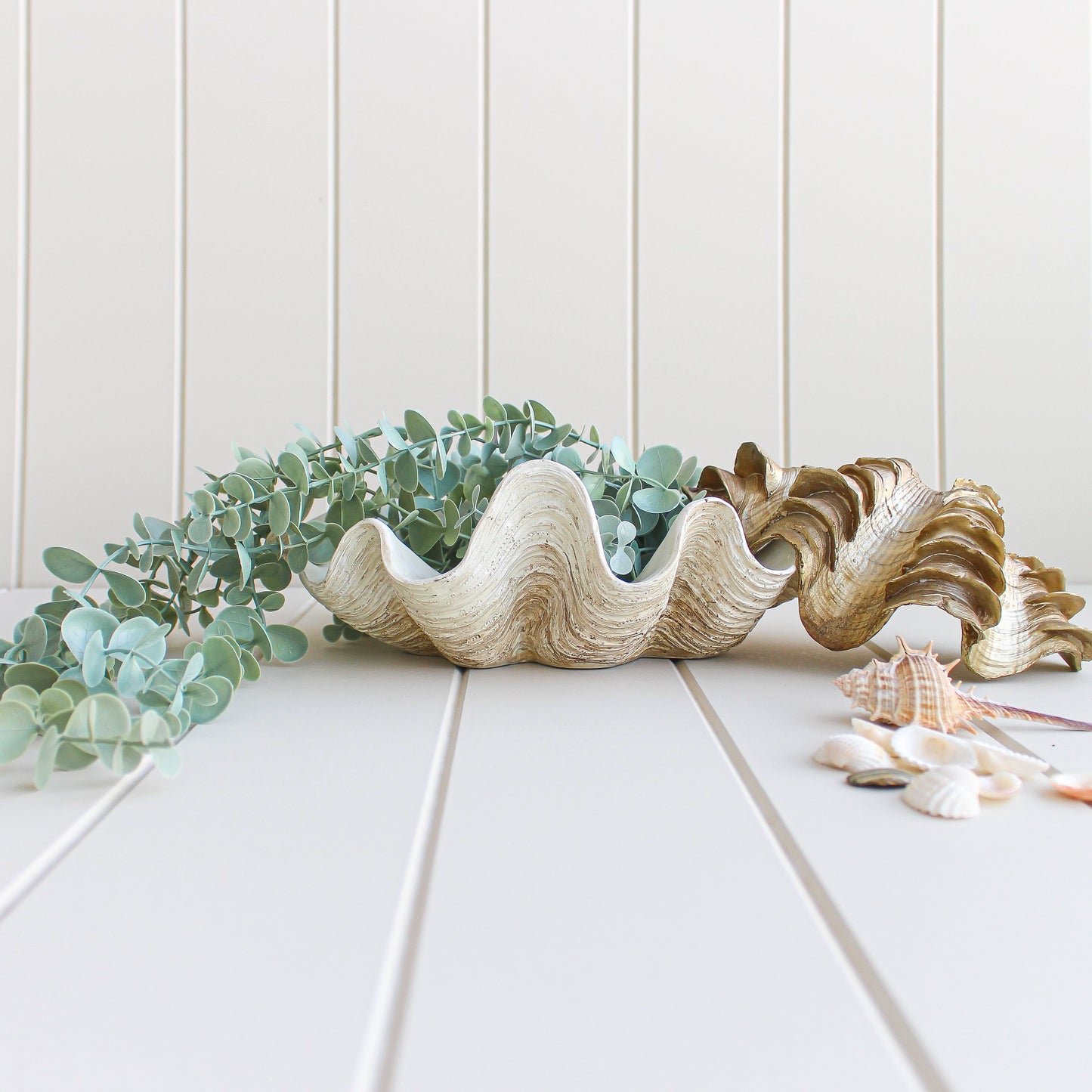 Coastal Clam Shell Bowl