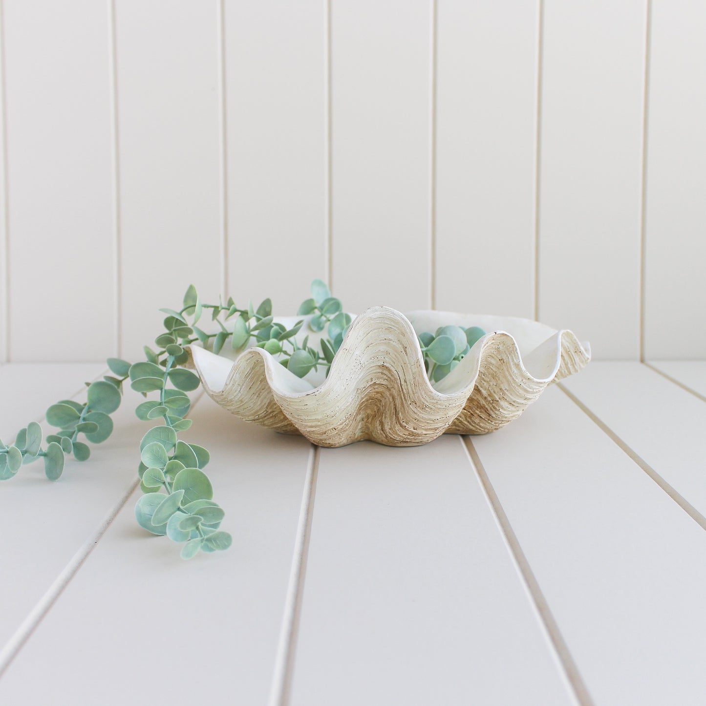 Coastal Clam Shell Bowl