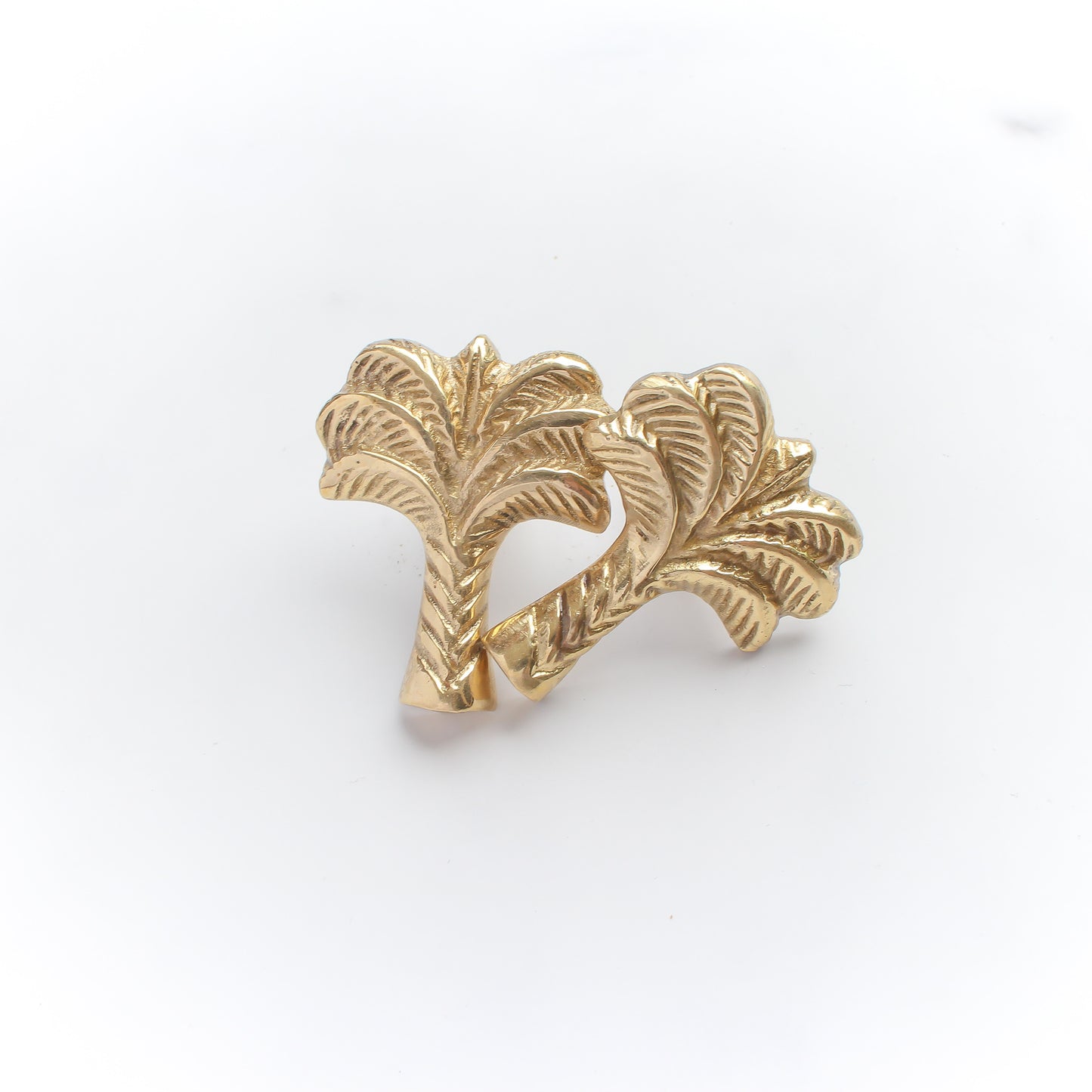 Palm Brass Knob in Gold