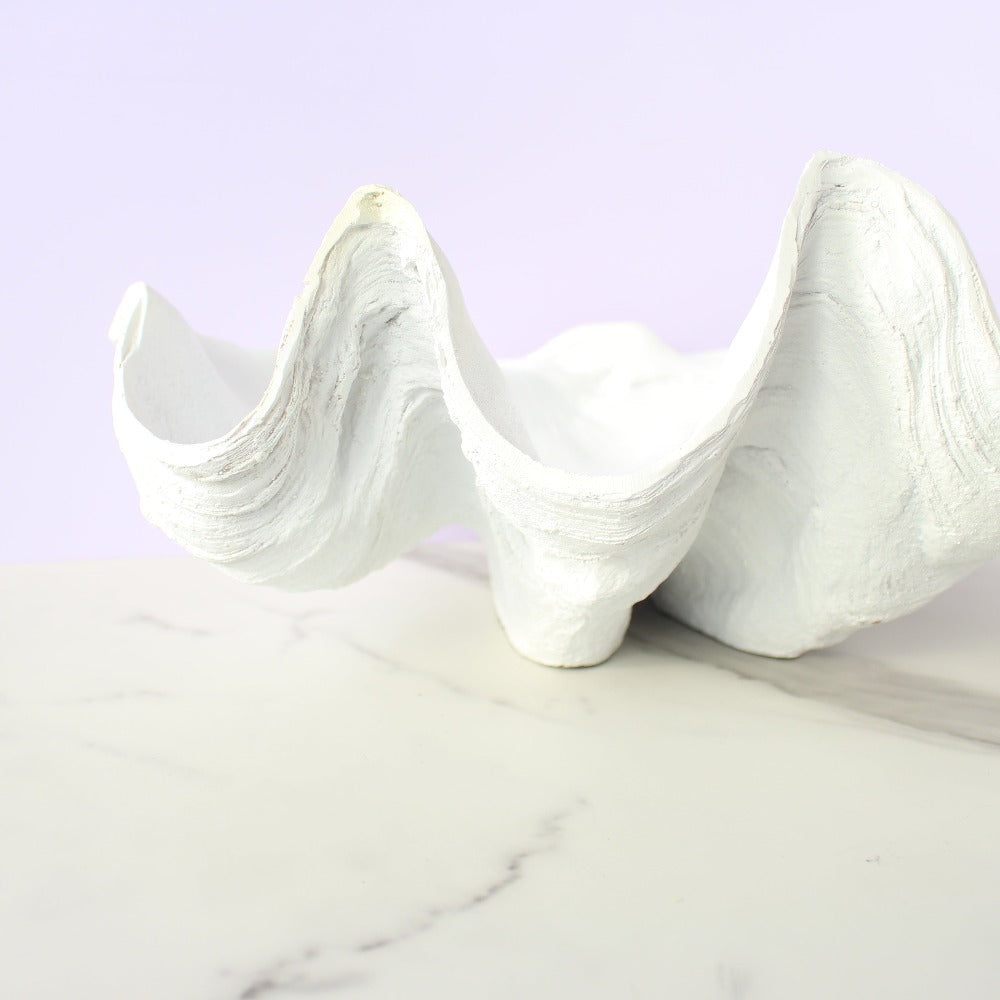 Columbus Clam Shell Bowl White