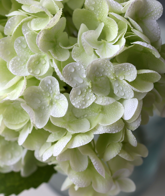 Real Touch Hydrangea Artificial Flower in white