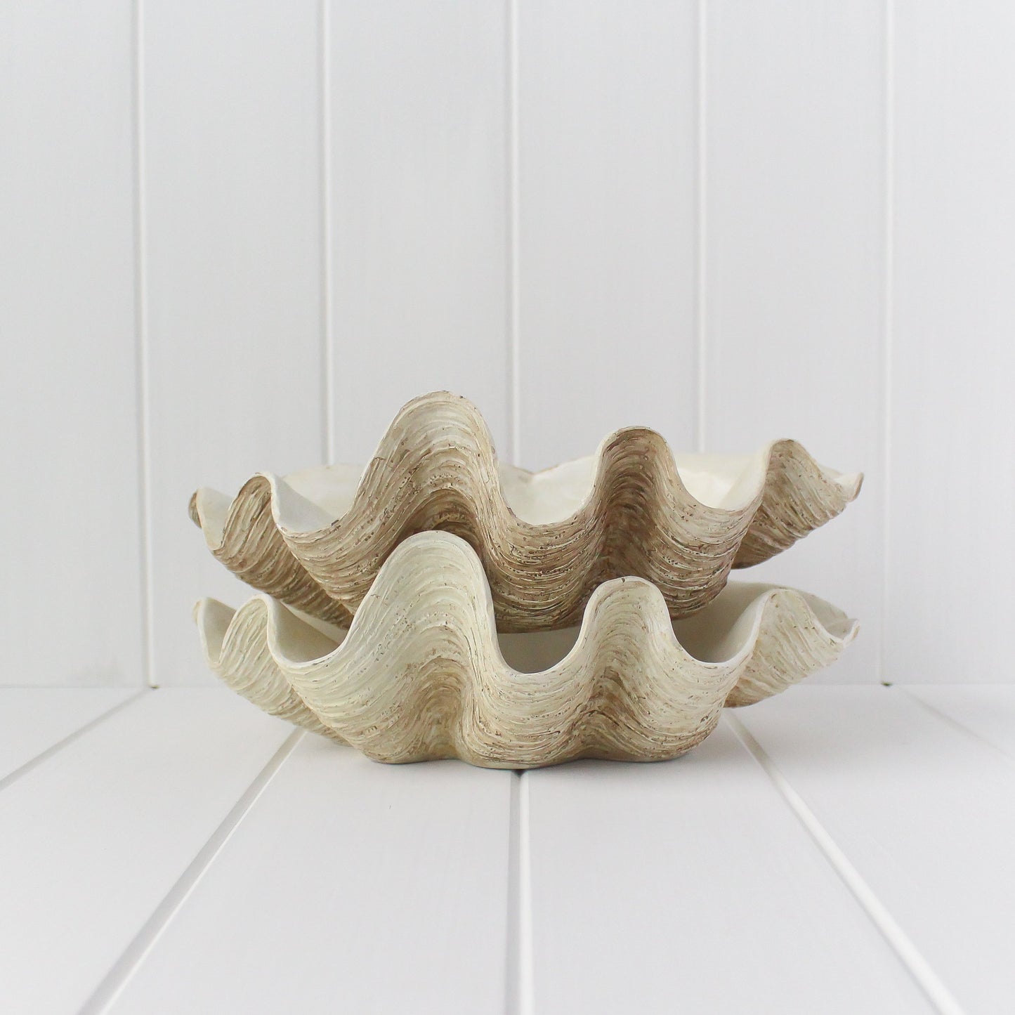 Coastal Clam Shell Bowl