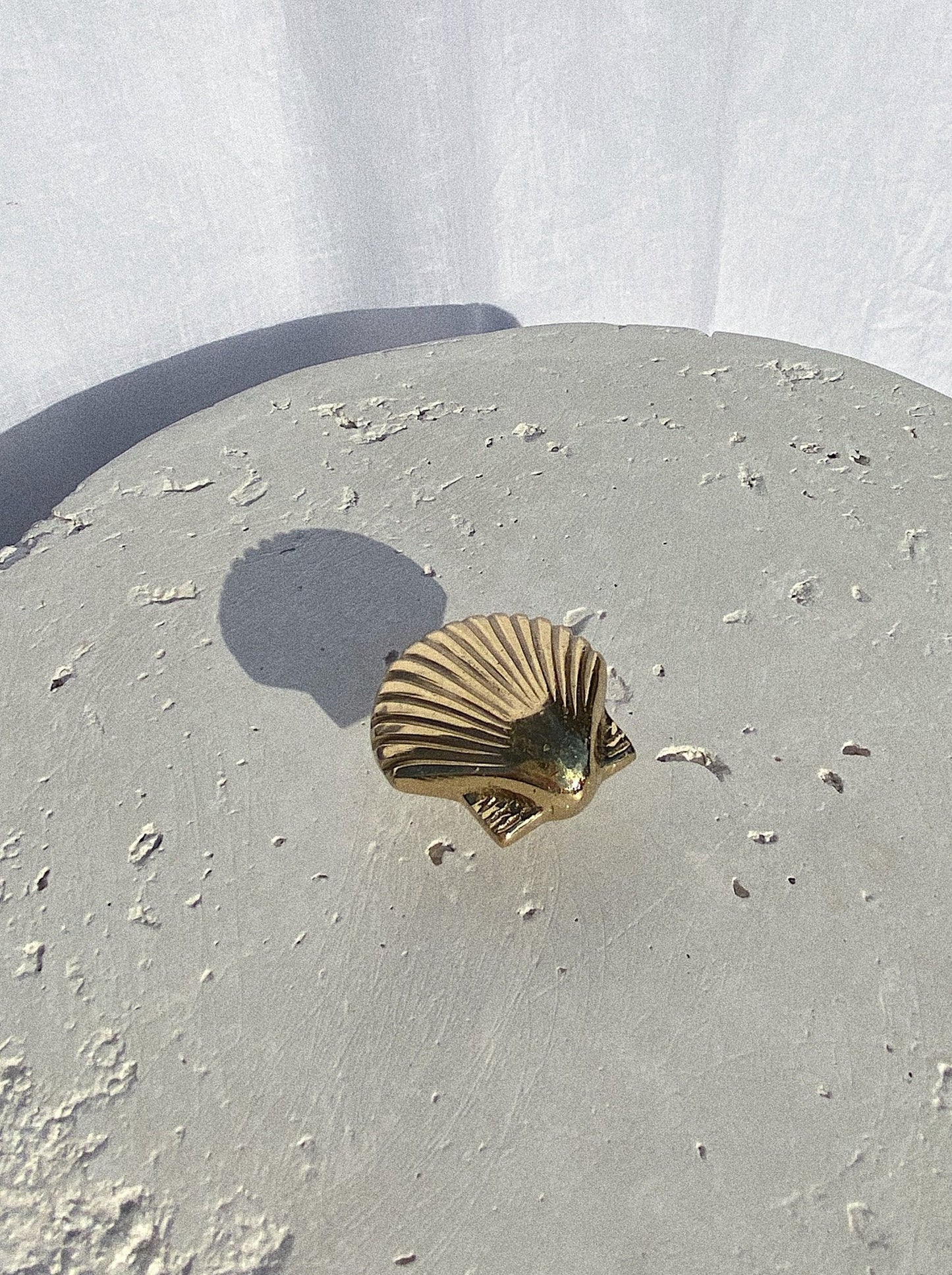 Shell Brass Knob