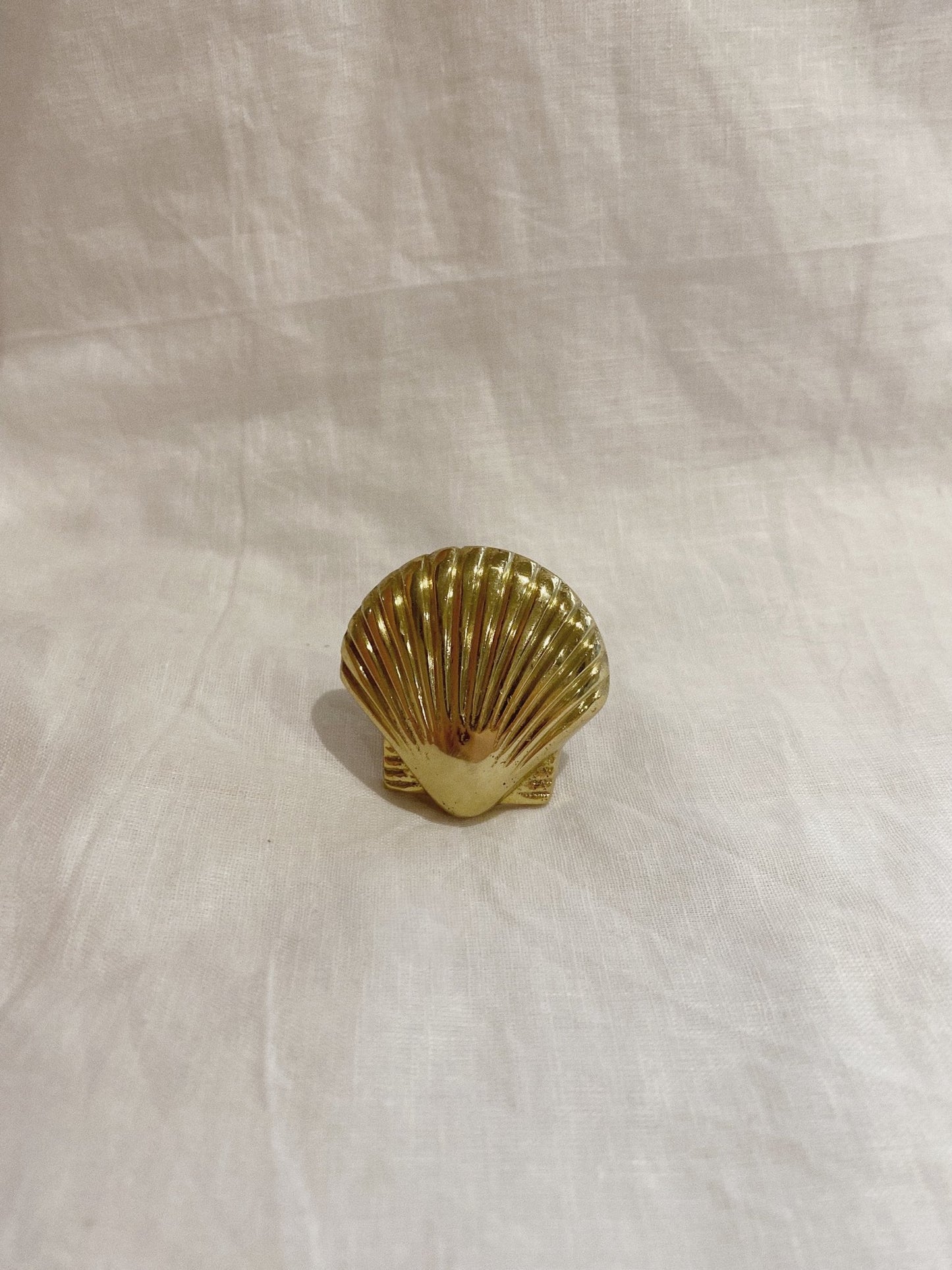 Shell Brass Knob