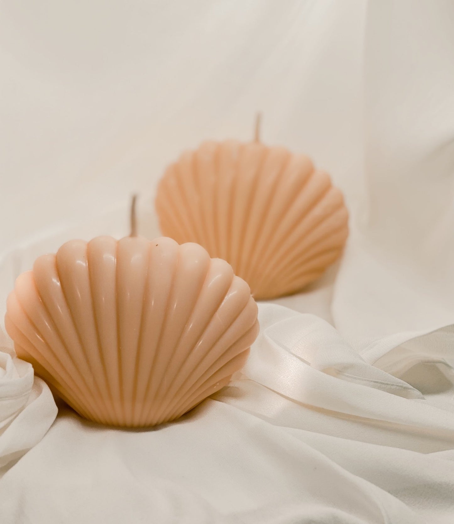 Soy Shell Candle