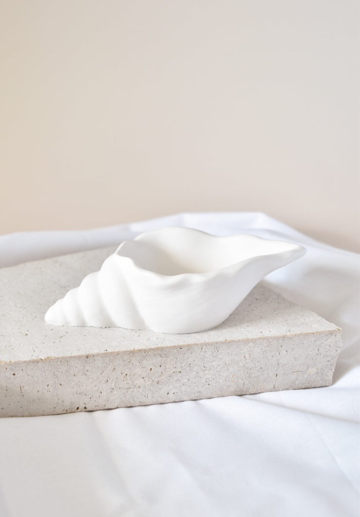 Shell Tray