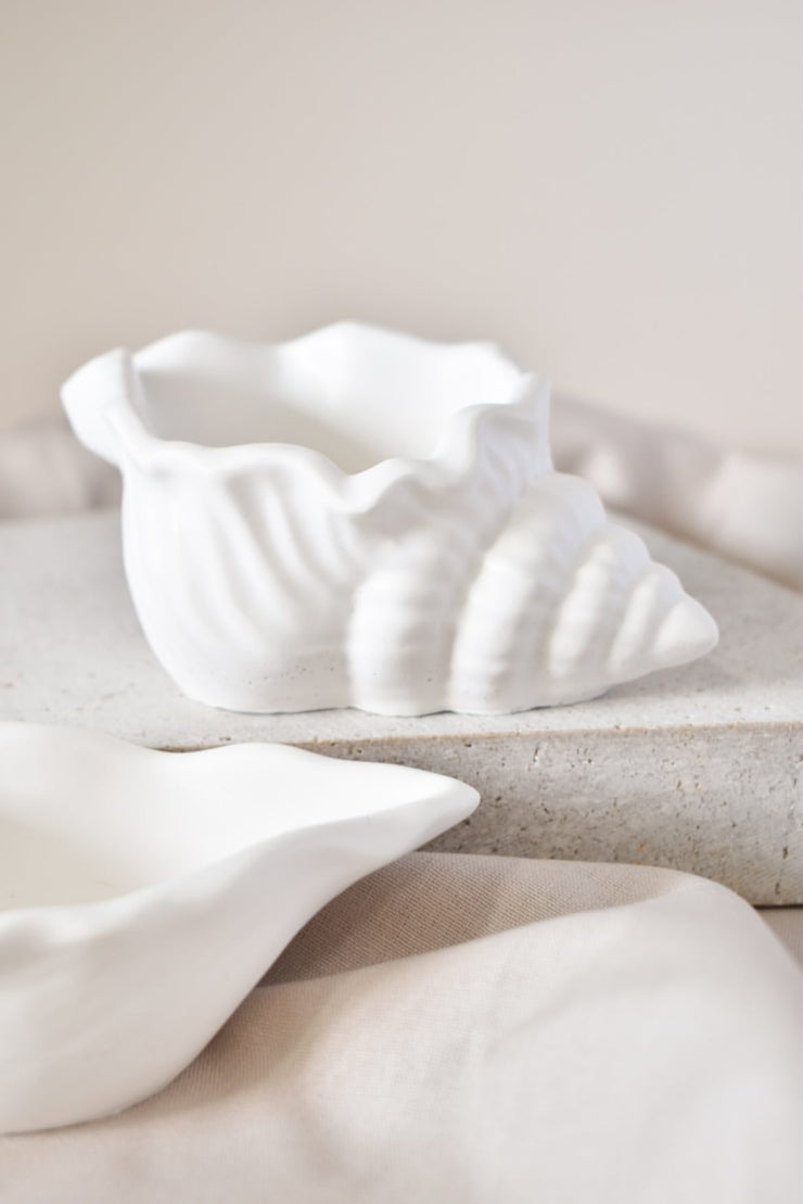 Shell Tray