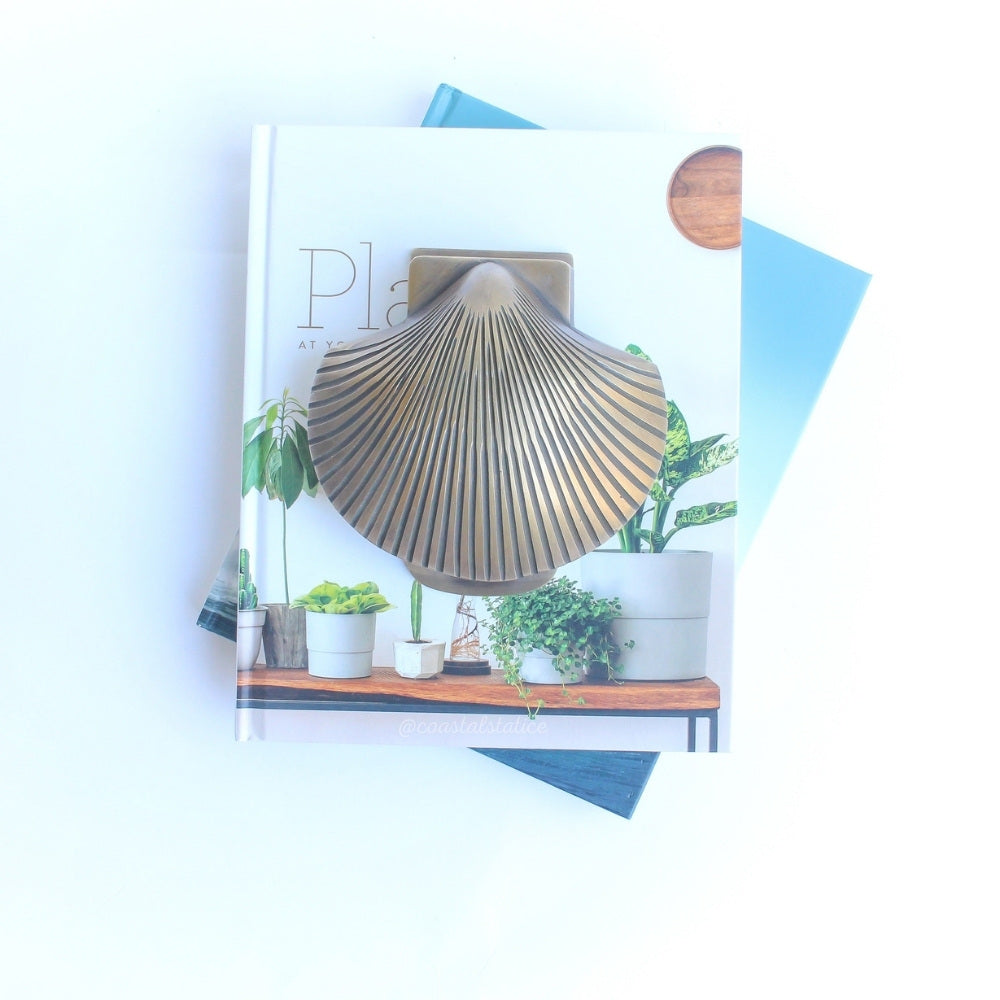Shell Door Knocker