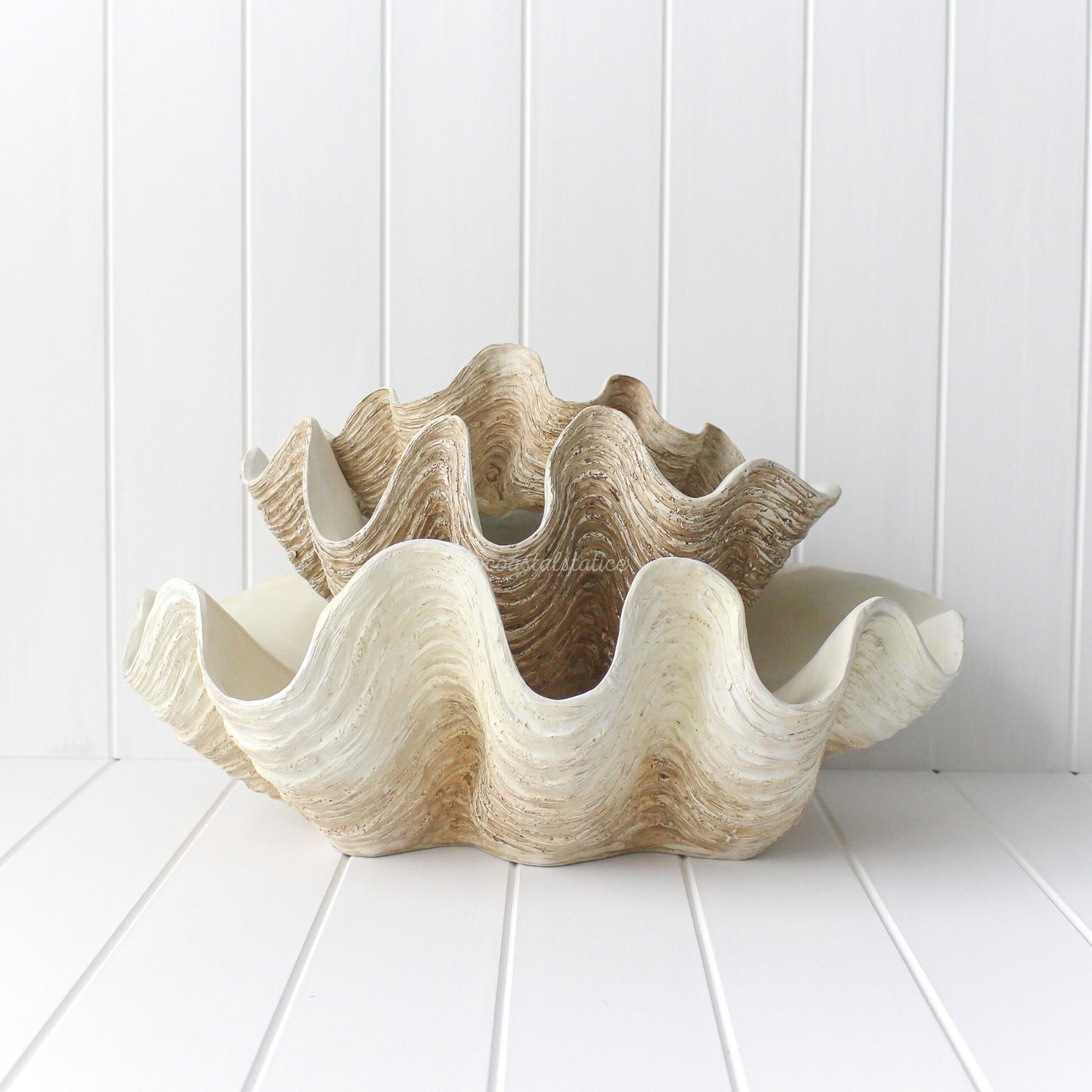 Coastal Clam Shell Bowl Large