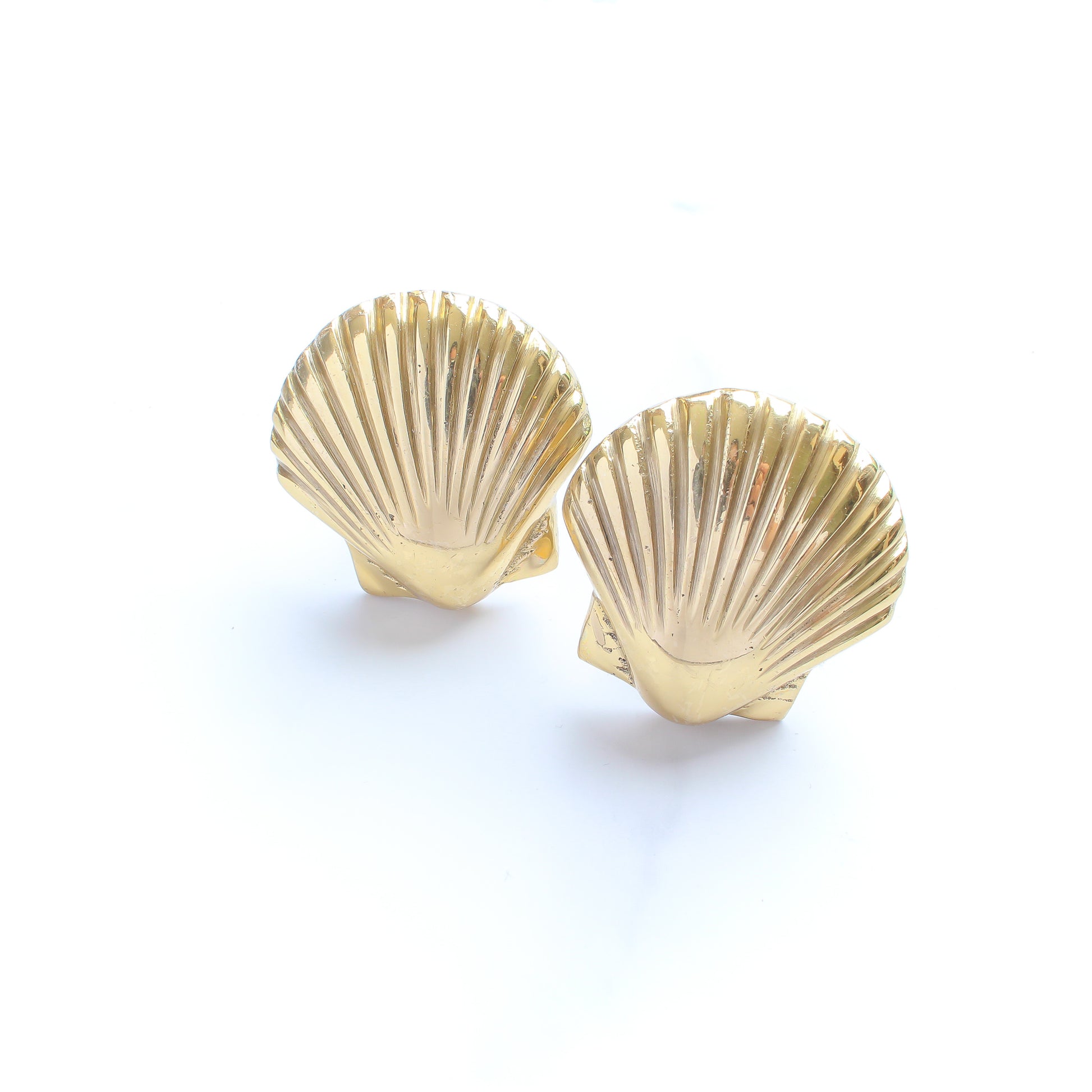 Shell Brass Knob – Coastal Statice