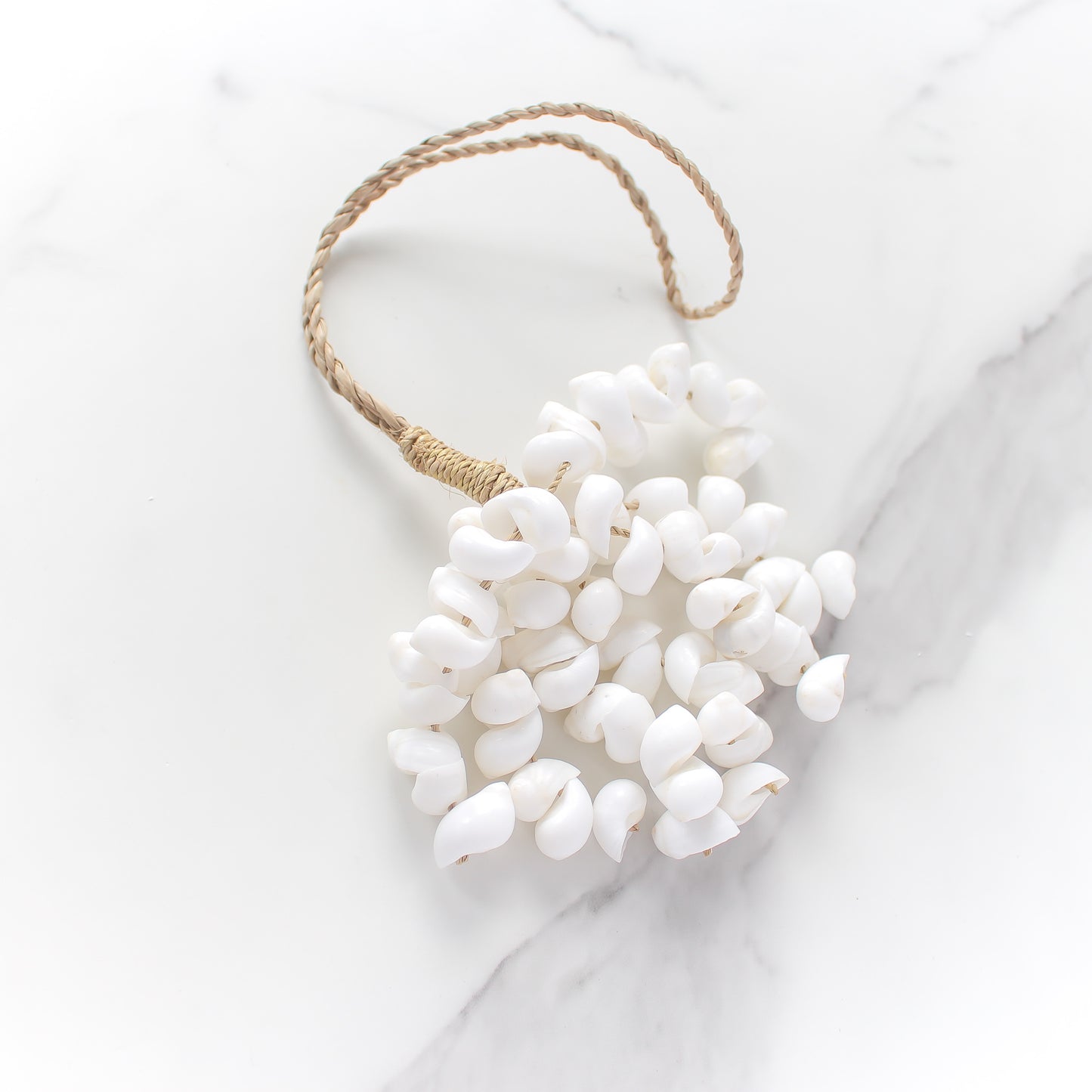 Coastal Cluster Shell Hanging