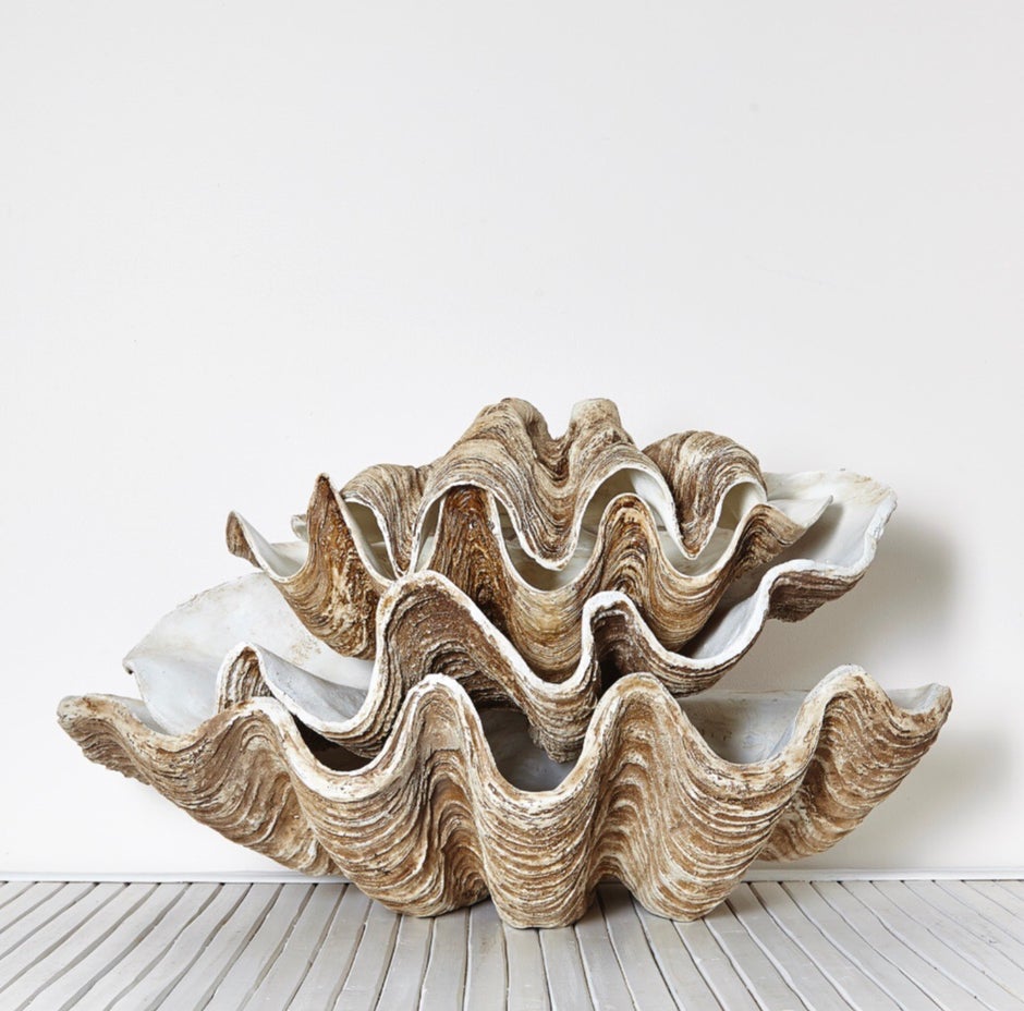 Columbus Clam Shell Bowl