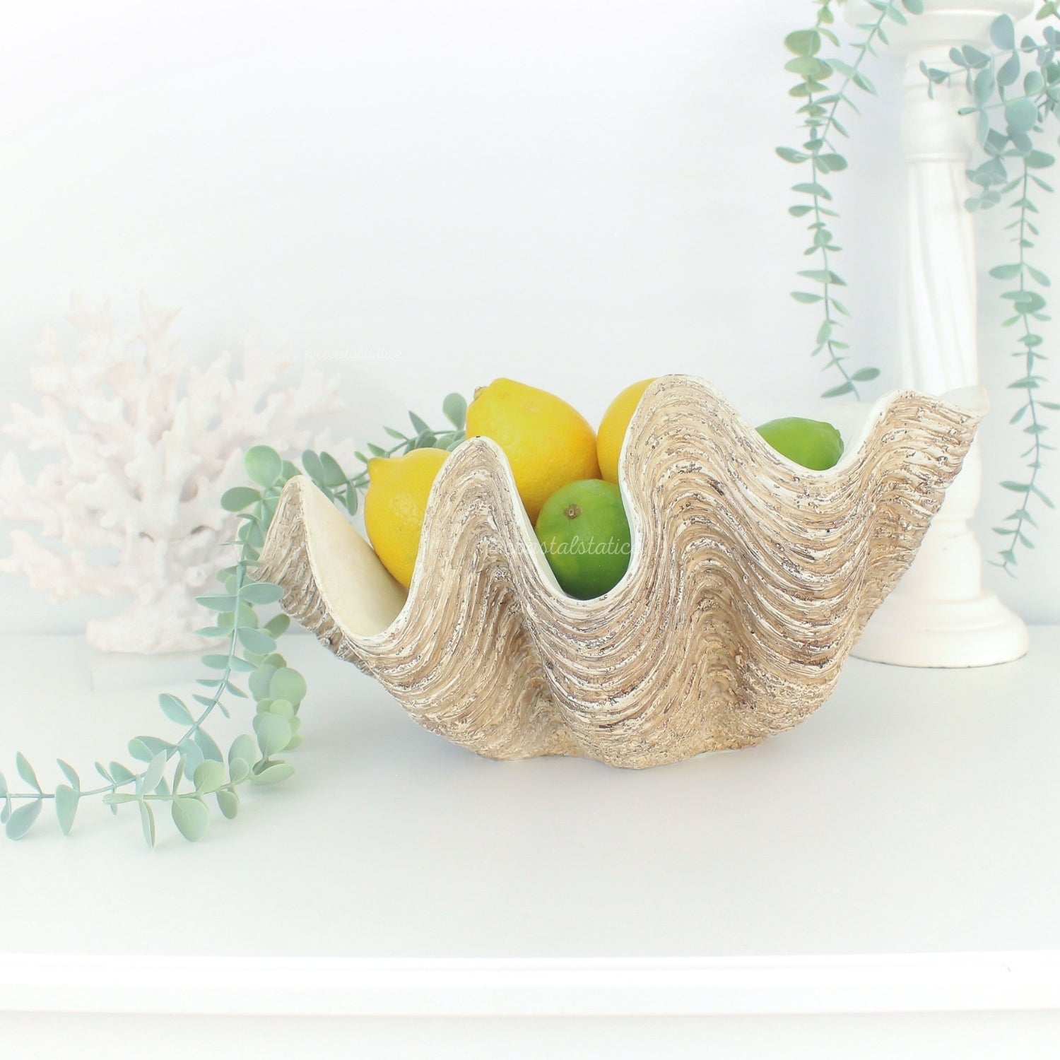 Coastal Clam Shell Bowl Large